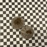 Jiffy Moneda Turba 7mm